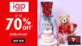 IGP Promo Code | Extra 20% OFF Select Categories